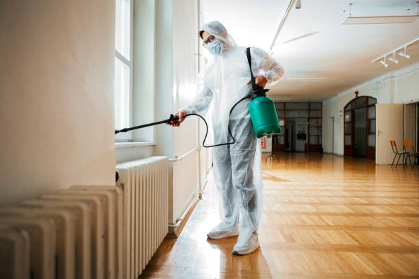 Fumigation Spray